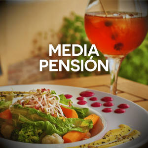 Media Pensión